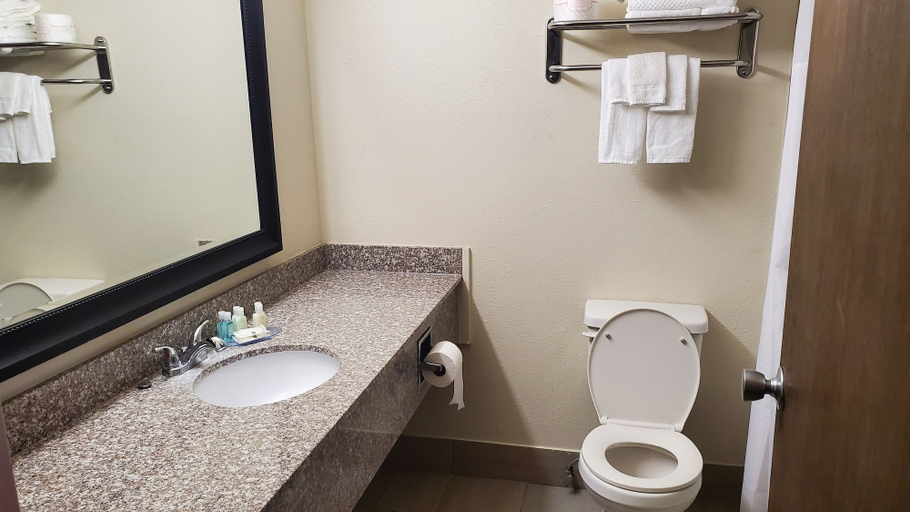 Bathroom 4, Quality Inn Alamosa, Alamosa