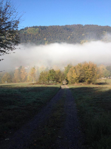 Others 3, Waldnest Odenwald, Bergstraße
