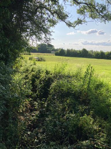 Others 5, Raglans, Wiltshire