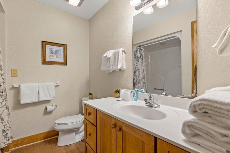 Bathroom 3, Poplar Point Condo Unit 12F - Three Bedroom Condo, Sevier