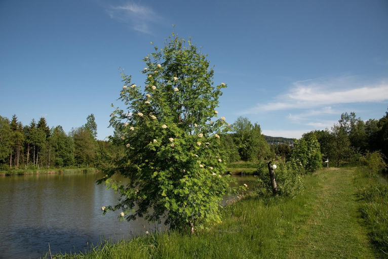 Others 2, Wiesner's Teichwirtschaft, Erzgebirgskreis