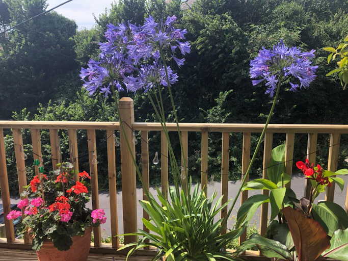 5, Southernhay, Devon