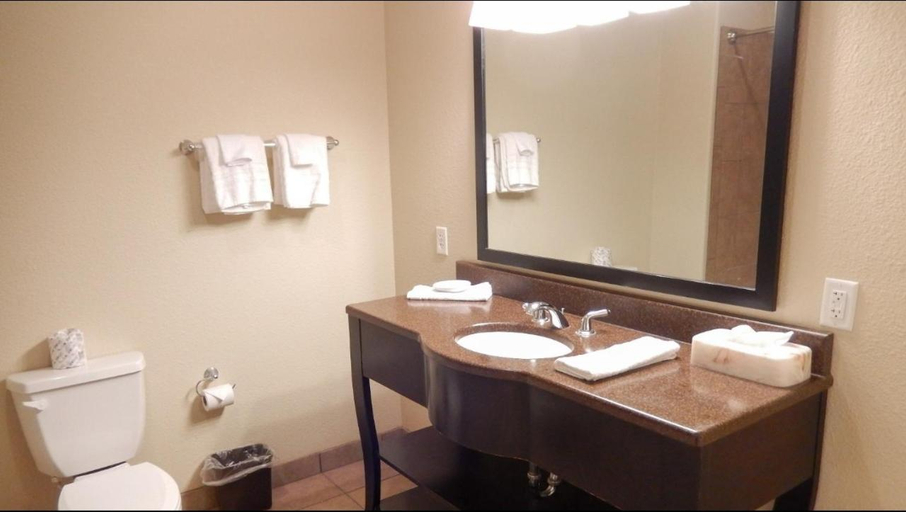Bathroom 4, Motel 6 Colorado City, TX, Mitchell