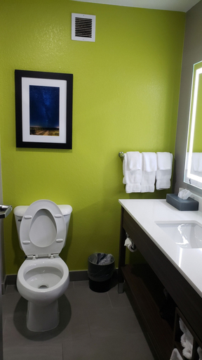 Bathroom 3, La Quinta Inn & Suites by Wyndham Shawnee, Pottawatomie