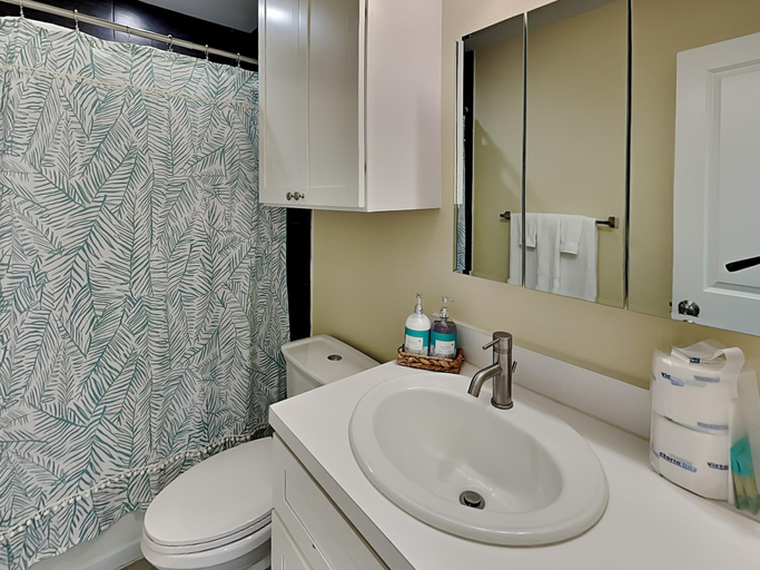 Bathroom 4, Ocean Front Property, Aransas