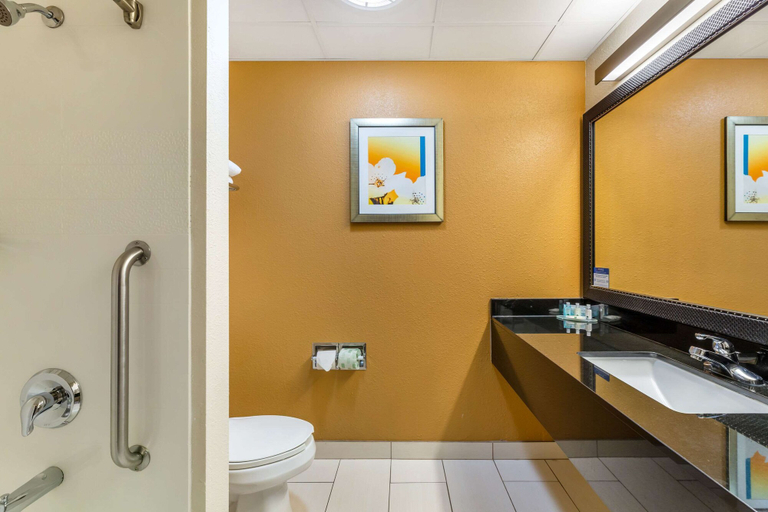 Bathroom 5, Quality Inn & Suites Sandusky, Erie