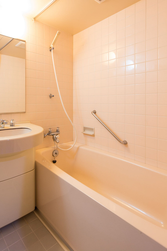 Bathroom 3, Oyashirazu Kanko Hotel, Itoigawa