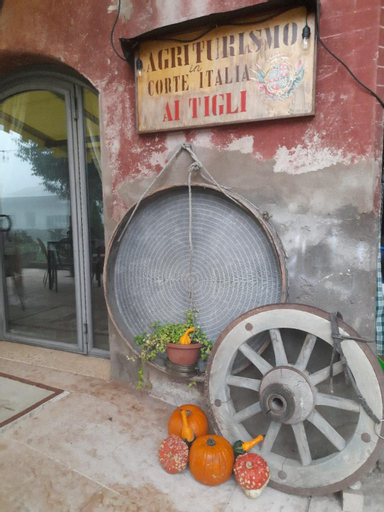 Exterior & Views 1, Ai Tigli, Verona