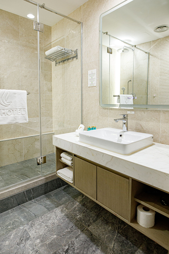 Bathroom 4, LDS hotel Belgrade, Belgrade