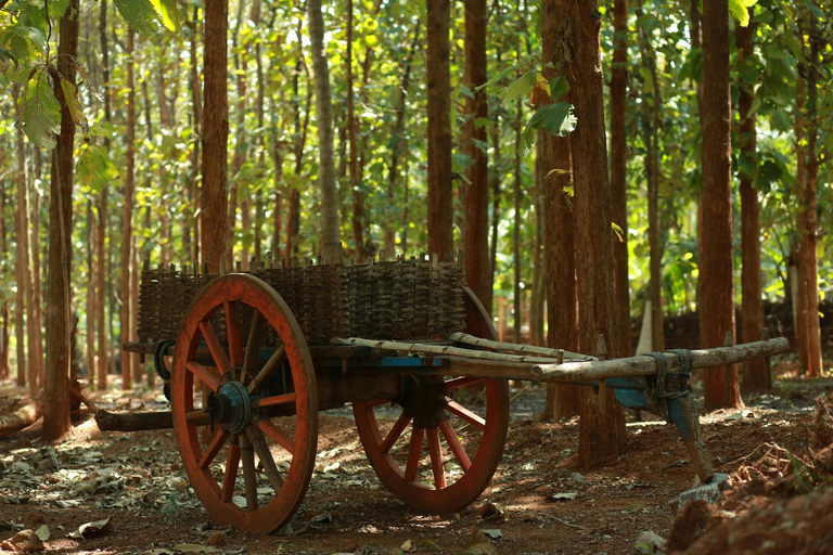 4, ATULYAM Farm, Palakkad