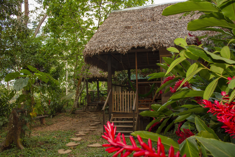 Others 5, DON JAIME HOSTEL \/, Tambopata