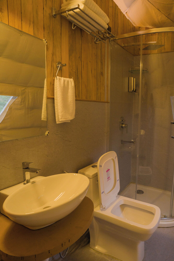 Bathroom 2, Stardome, Kangra