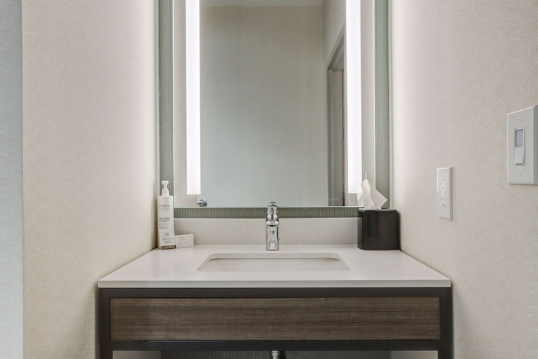 Bathroom 4, Hilton Garden Inn Indianapolis Northwest, Indianapolis