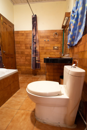 Bathroom 3, Hotel Negis Mayflower, Kullu