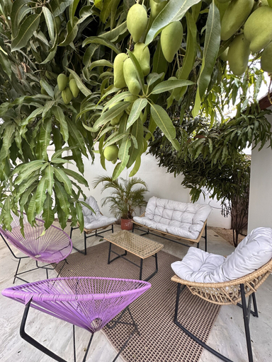 Others 5, Curiol Boutique Hotel & Lounge, Santa Cruz
