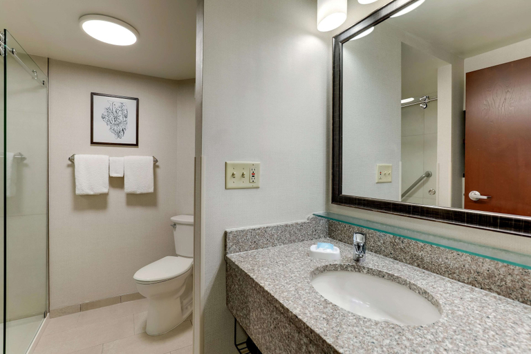 Bathroom 4, Drury Inn & Suites Marion, Williamson