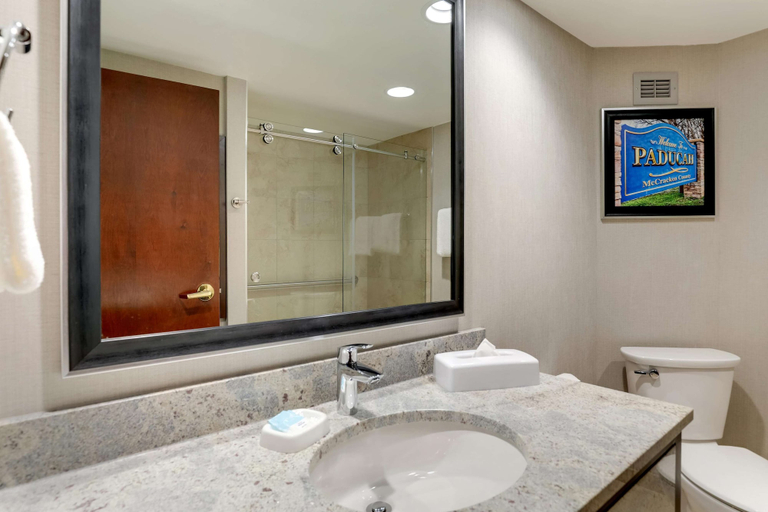 Bathroom 4, Drury Inn Paducah, McCracken