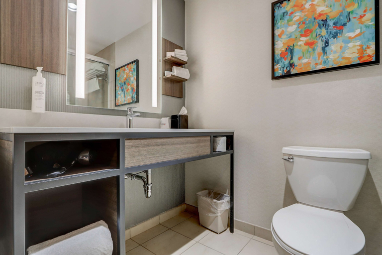 Bathroom 4, Hilton Garden Inn Indianapolis Northwest, Indianapolis