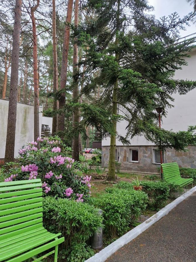 Others 5, Peters, Opole