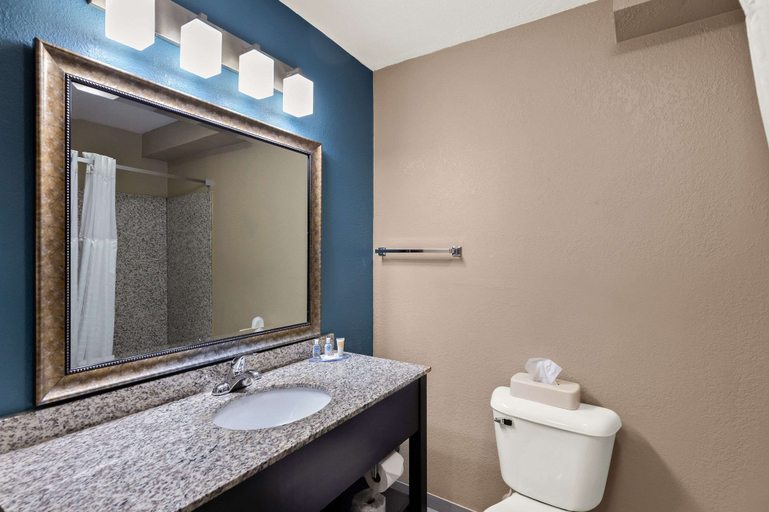 Bathroom 4, Comfort Inn & Suites Springfield I-55, Sangamon