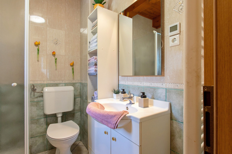 Bathroom 4, Butterfly place, Domžale