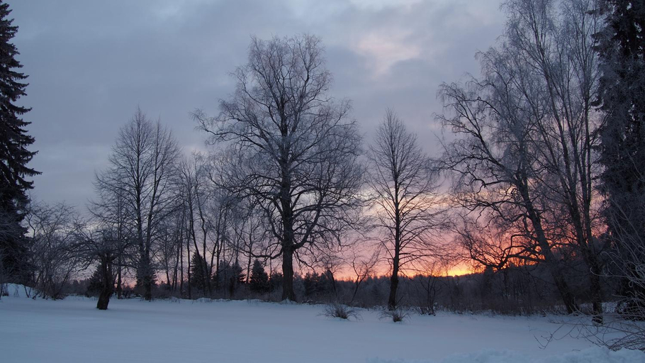 Others 5, Tiittalan Kartano, Southern Savonia