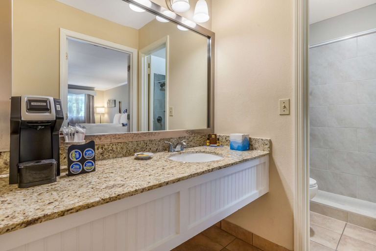 Bathroom 4, Best Western Plus Santee Inn, Orangeburg