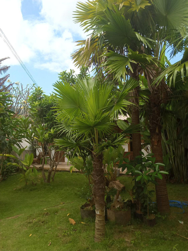 Exterior & Views 3, HENDRO'S SURF CAMP Pulau merah, Banyuwangi