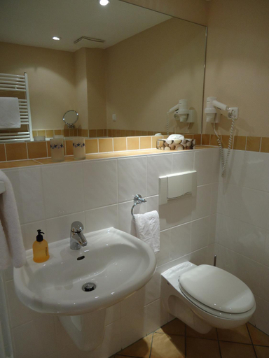 Bathroom 2, Vitalhotel Sonneneck, Goslar