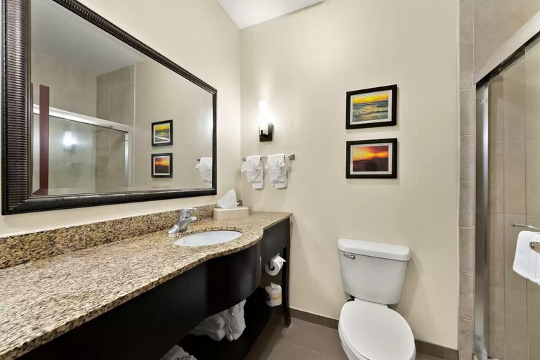 Bathroom 4, Comfort Suites Corpus Christi Central, Nueces