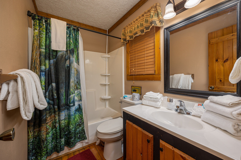 Bathroom, Cozy Bears Cabin, Sevier