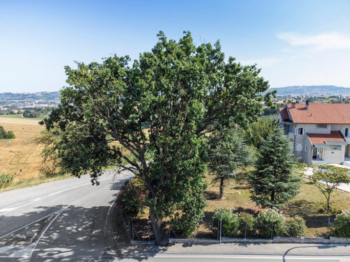 Others 3, OAK TREE 114 BnB, Ancona