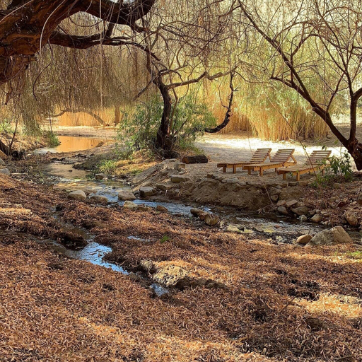 Others 5, Glamping Miraflores, Elqui