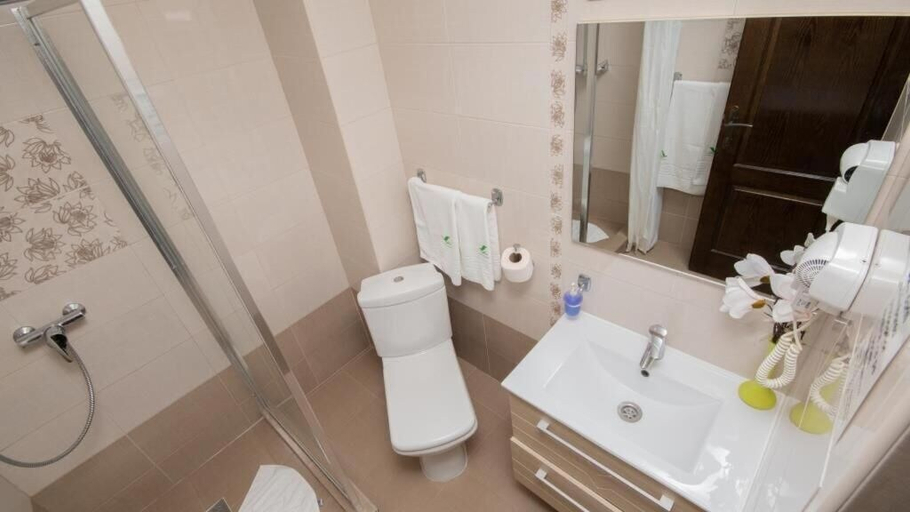 Bathroom 4, Pensiunea Danubia, Eselnita