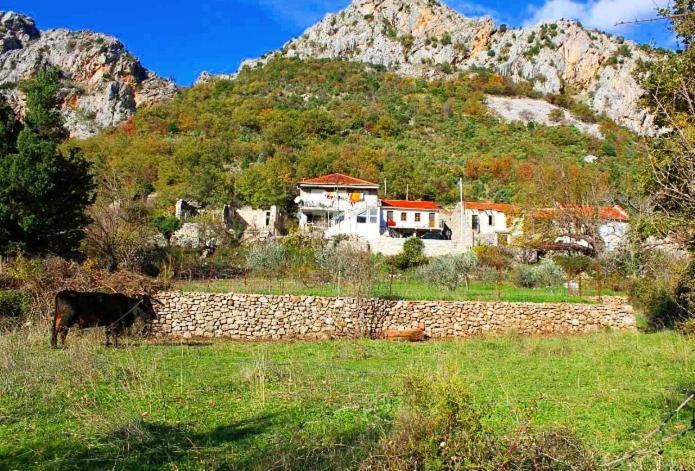 Others 2, Apartmani Dumezic