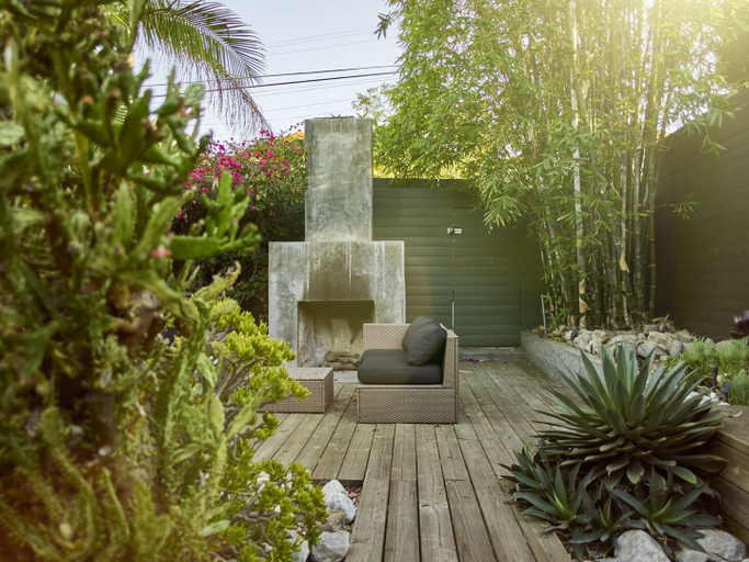 Others 4, Cactus Flower, Los Angeles
