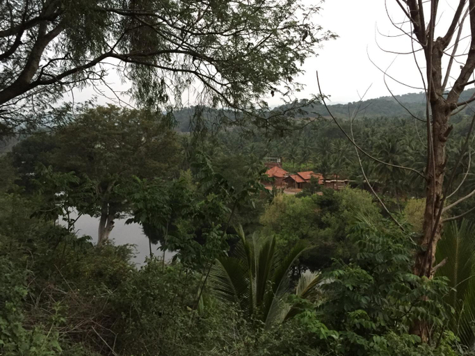 2, ATULYAM Farm, Palakkad