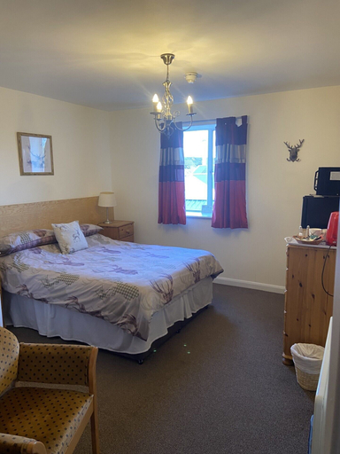 Bedroom 2, The Jolly Drayman Pub and Hotel, Kent