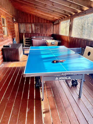 Sport & Beauty 5, Hibernation Station, Sevier