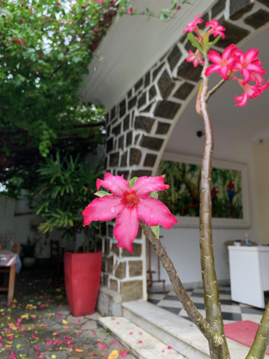 Public Area, Hostel Casarao 65, Salvador