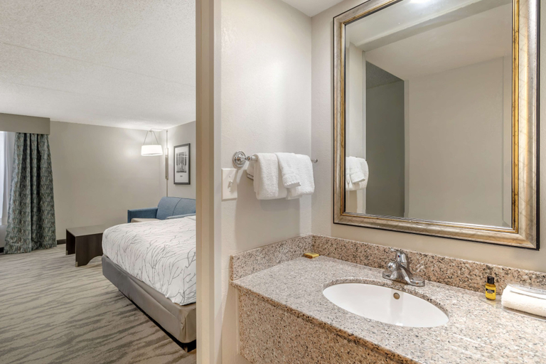 Bathroom 4, Best Western Plus Knoxville Cedar Bluff, Knox
