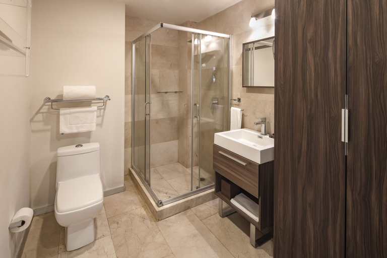 Bathroom 5, MX Grand Suites, Mexico City