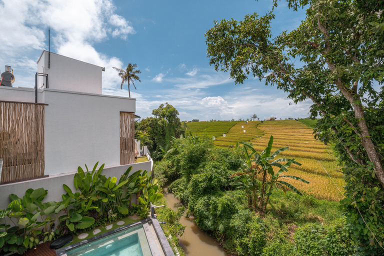 Exterior & Views 2, Villa Luna - 4BR in Pererenan, Badung