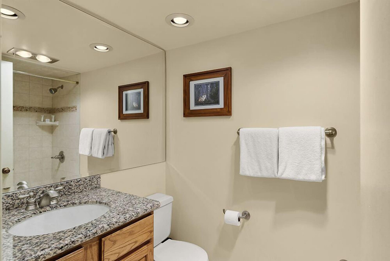 Bathroom 3, Chateau Eau Claire & Roaring Fork by Frias Properties, Pitkin