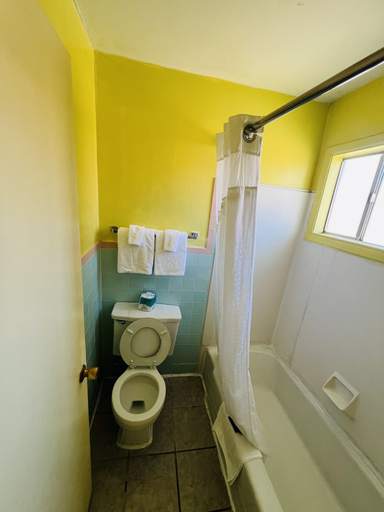 Bathroom 2, Crown Inn, Colfax