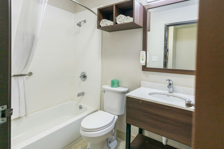 Bathroom 4, Quality Inn Carrollton, Carroll