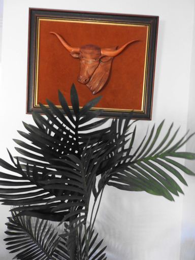Others 4, Longhorn Ranch Apartments, E. Gippsland - Orbost