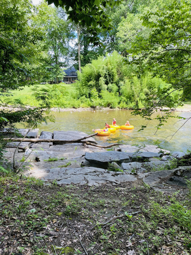 Others 3, Riverview 1 Bedroom Cabin by RedAwning, Blount