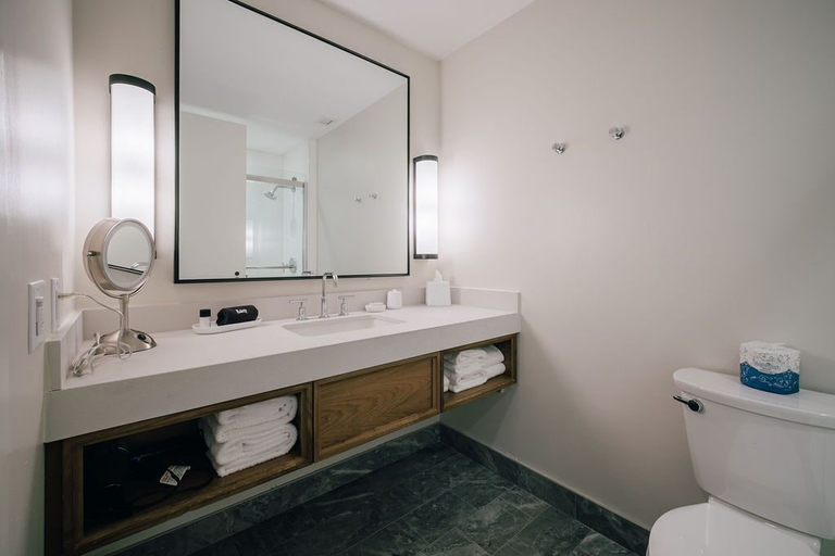 Bathroom 4, The Knight Center at Washington University, Saint Louis