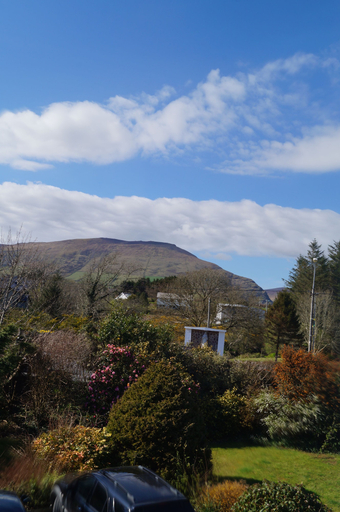 Others 4, Ardrinane House